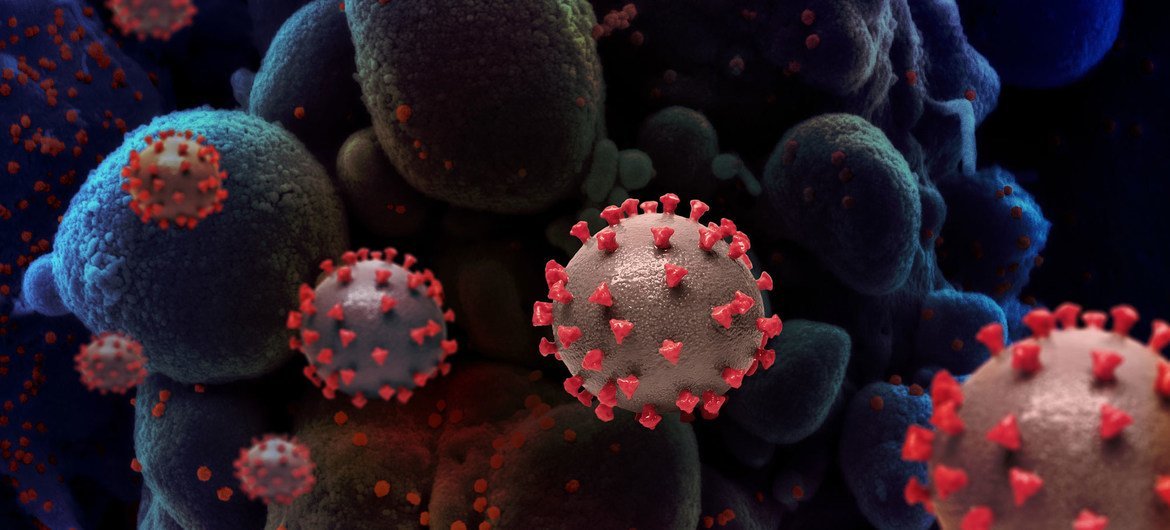 Происхождение коронавируса пока остается неизвестным. Нужны дальнейшие исследования