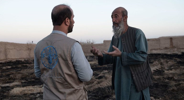 FAO staff Feroz Aryan discusses effects of the drought with beneficiary Niaz Mohammad around Ghra village in Daman district south of Kandahar, Afghanistan.