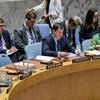 Дмитрий Полянский на заседании Совета Безопасности. Россия - Председатель СБ ООН.