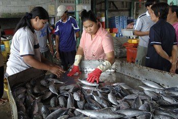 在泰国南部，缅甸移民在渔船和沿海社区工作。