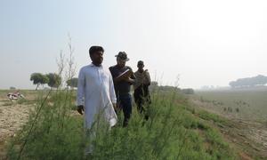 यूएनडीपी पाकिस्तान एसएफएम टीम सिंध प्रान्त के हिस्से का सर्वेक्षण करने के लिये, स्थानीय समुदायों के साथ काम कर रही है.