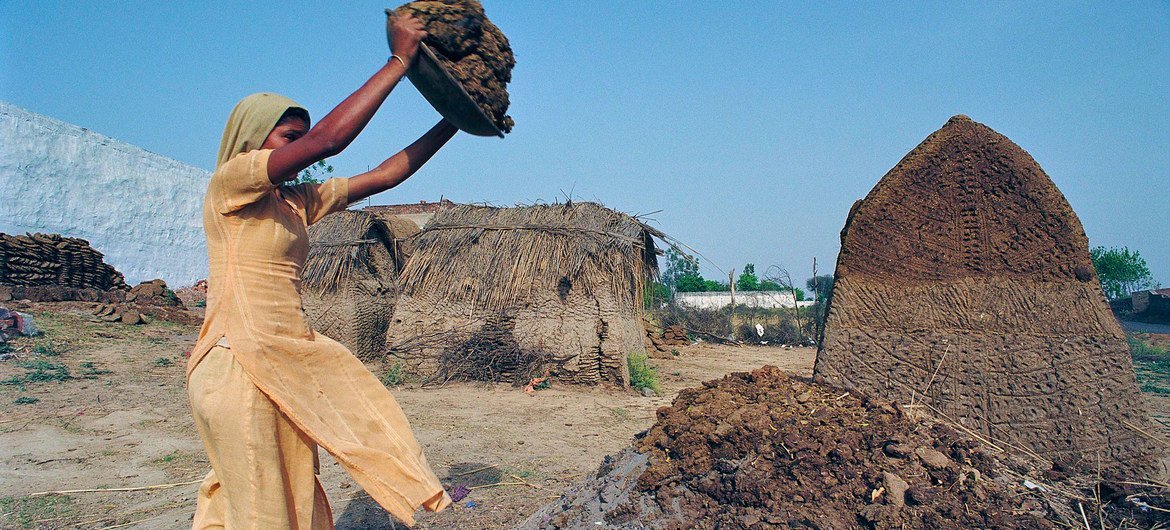 A young woman in India piles cow dung, to be dried for use as fuel for fire.
