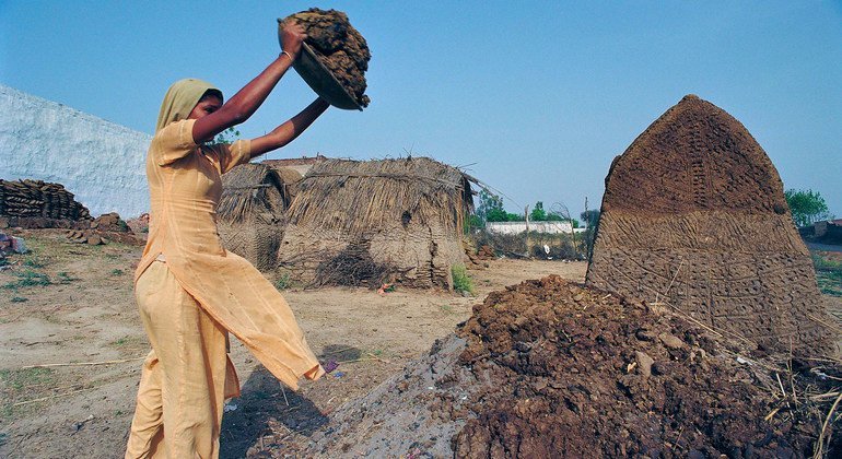 سيّدة في الهند تجمع روث البقر لاستخدامه كوقود للنار بعد تجفيفه.