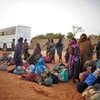 IOM assisted over 1,300 Nigeriens stranded in Burkina Faso after fleeing clashes in gold mining areas.