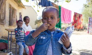 A three-year-old girl in western Tigray eats a high energy biscuit to boost her nutrition levels.