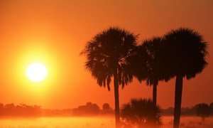 Okeechobee County, Florida, United States.