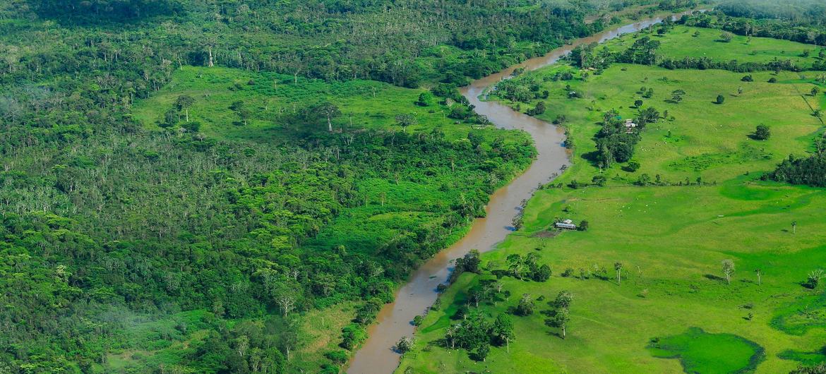 La région de l'Amazonie, au Brésil.