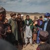La OIM apoya a las familias desplazadas en Afganistán, proporcionándoles refugio y protección de emergencia.