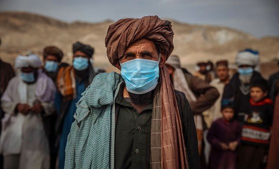 Plus de cinq millions d'Afghans sont déplacés à l'intérieur du pays, dont ces familles à Hérat..