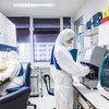 Un technicien de laboratoire dans un centre de recherche collaborant avec l'OMS sur les zoonoses virales à Bangkok, en Thaïlande.