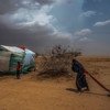 Idosa leva água para sua tenda em um campo de deslocados no norte do Iêmen, perto da fronteira com a Arábia Saudita 