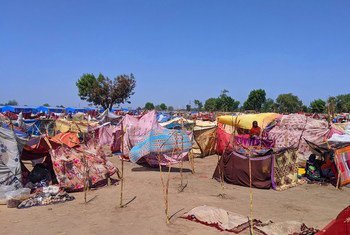 Un site de déplacement de fortune à N’Djamena, la capitale du Tchad, où des crues soudaines ont forcé des gens à quitter leurs maisons.