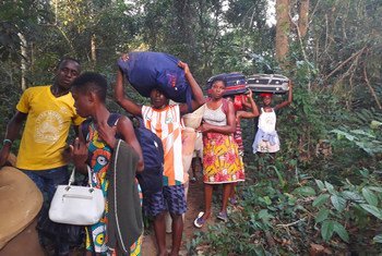 为逃离科特迪瓦选举紧张局势的寻求庇护者绕过主要边境入境点，通过一条森林小路前往利比里亚。