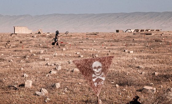 Landmine clearance successful  Rambusi colony   successful  the shadows of equine   Sinjar, Iraq. About 90% of the colony   has been made harmless  truthful  acold   and families are returning to rebuild their lives.