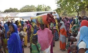 Intercommunity clashes in Cameroon has forced thousands to flee to Chad.