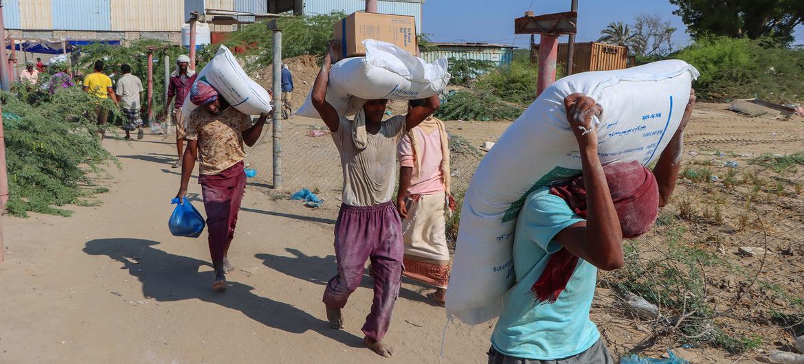 Distribución de harina de trigo a familias vulnerables en Abyan, Yemen.