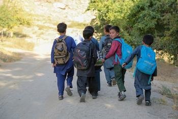 阿富汗的年轻男孩步行去上学。