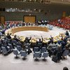  مجلس الأمن يمدد ولاية لجنة الخبراء، التي تراقب العقوبات المفروضة على السودان والمتعلقة بالنزاع في دارفور، 11 فبراير 2020.