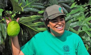 Noel Dickinson is a research technician  for the Breadfruit Institute at Hawaii's National Tropical Botanical Garden. 