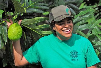 Noel Dickinson is a research technician  for the Breadfruit Institute at Hawaii's National Tropical Botanical Garden. 