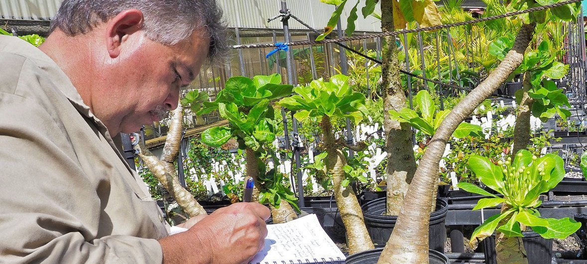Mike Demotta is the curator for living collections at Hawaii's National Tropical Botanical Garden.