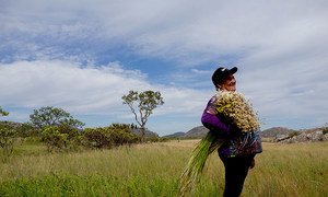 Farmers, who gatherer flowers in the Southern Espinhaço Mountain Range in Brazil, enhance biodiversity and preserve traditional knowledge.