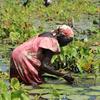 Mulher coleta água em cidade inundada no estado de Jonglei, Sudão do Sul. 