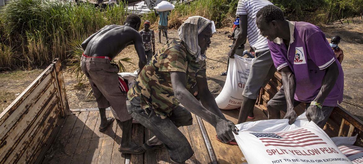 Des sacs de pois cassés sont transportés vers l'Etat de Jonglei via le Nil blanc au Soudan du Sud.