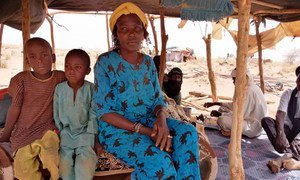 Malian refugees seek shelter in Télemsès, Niger, after violence has escalated in the Sahel region.