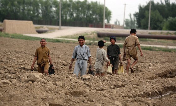 Child farmers help to level fields in Balkh Province, Afghanistan.