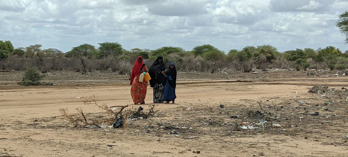 The devastating drought in Somalia has reached unprecedented levels, with one million people registered as internally displaced.