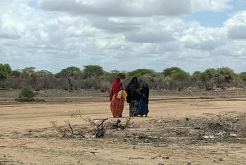 وصل الجفاف المدمر في الصومال إلى مستويات غير مسبوقة، حيث تم تسجيل مليون شخص الآن على أنهم نازحون داخل البلاد.
