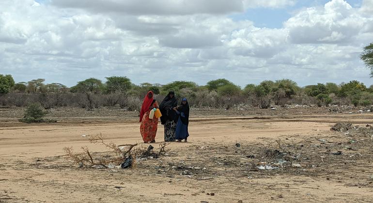 La devastadora sequía en Somalia ha alcanzado niveles sin precedentes, con un millón de personas registradas como desplazadas dentro del país.