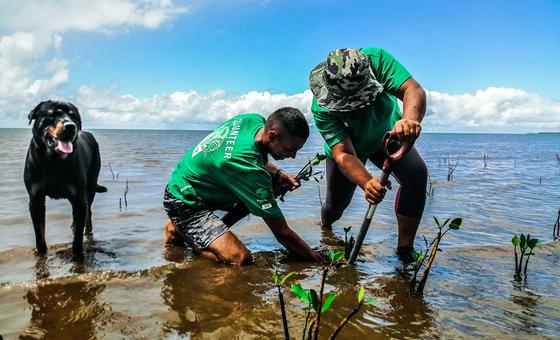 "Projects Abroad" youth volunteers conserving Fiji's beaches.