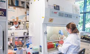 A team of scientists at Oxford University’s Jenner Institute and Oxford Vaccine Group is making progress towards the discovery of a safe, effective and accessible vaccine against coronavirus.