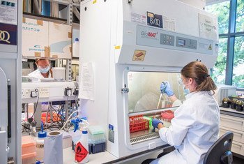 牛津大学詹纳研究所和牛津疫苗小组的科学家团队正在研发安全、有效的新冠疫苗方面取得积极进展。
