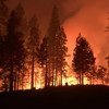 加利福尼亚州和美国西海岸其他地区的消防人员一直在努力遏制野火。