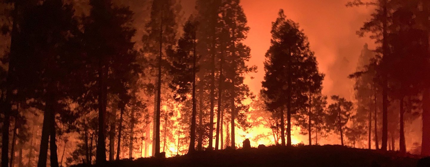 La Californie et d’autres parties de la côte ouest des États-Unis ont été affectées par de gigantesques incendies de forêts.