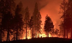 Incêndio florestal na Califórnia em 2020.