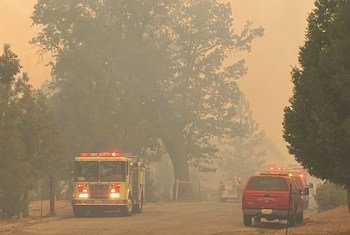 Fumée due aux feux de forêt en Californie, aux Etats-Unis.