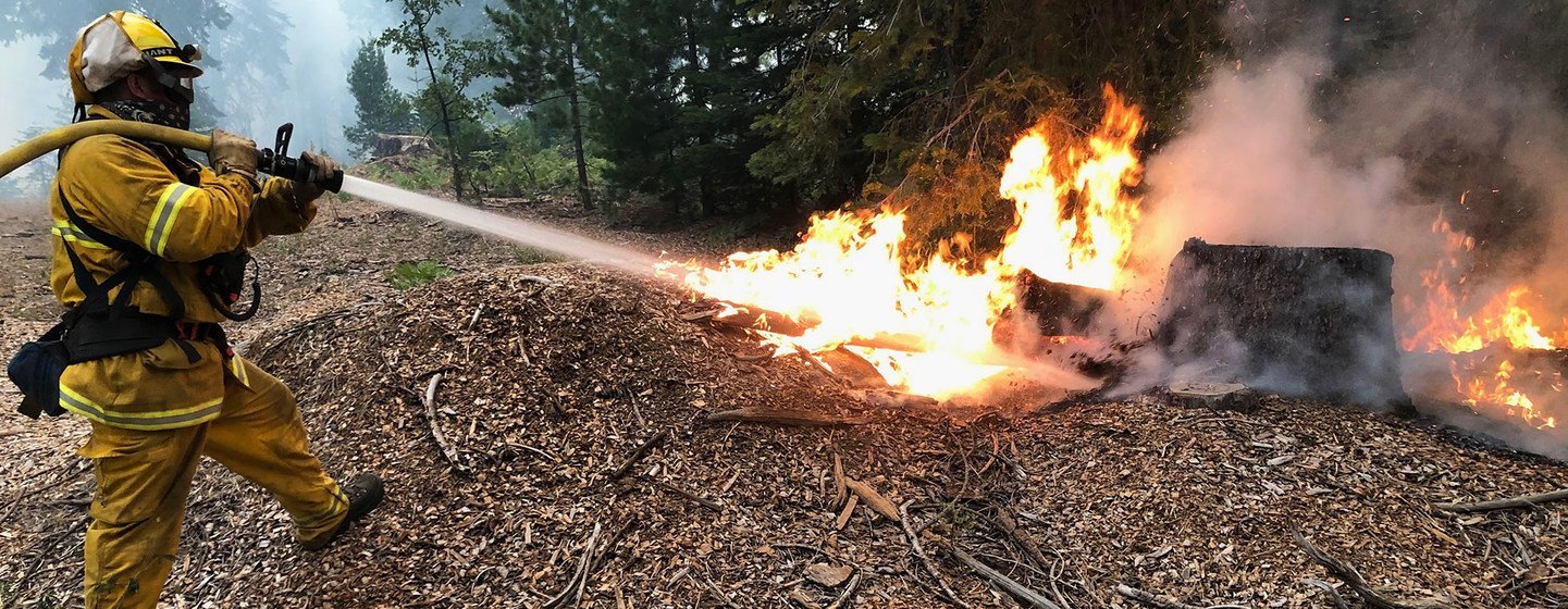 Los incendios forestales en las monatñas de California han provocado la pérdida de más de 78.000 acres de bosque.