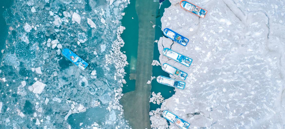 Des températures plus chaudes signifient la fonte des glaces de mer, l'augmentation des températures des océans et des eaux plus chaudes, ce qui affecte les écosystèmes et les conditions météorologiques mondiales.