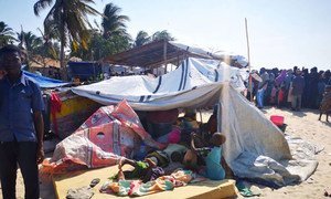 A group of people, having fled violence in several districts of Cabo Delgado, arrive in the provincial capital, Pebma. Between 16 and 26 October, the town saw the influx of over 10,000 displaced persons.