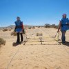 Une recherche visuelle de mines terrestres à Mehaires, au Sahara occidental.