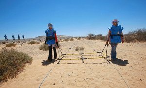 A visual search for landmines takes place in Mehaires, Western Sahara.