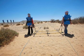 A visual search for landmines takes place in Mehaires, Western Sahara.