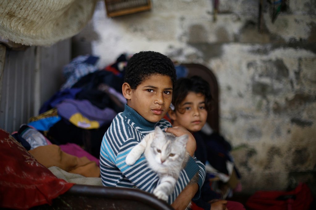 加沙城内的一个贫民区，10岁的伊布拉辛（左）抱着一直猫坐在自家简易的房屋门前。