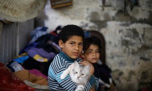 Ibrahim (à gauche), âgé de 10 ans, tient son chat dans ses bras chez lui, dans un quartier de la ville de Gaza (photo d'archives).