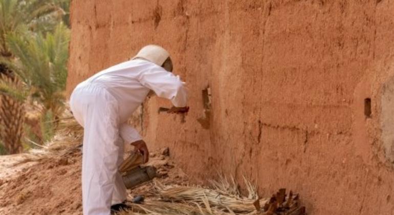 مربو النحل في المغرب