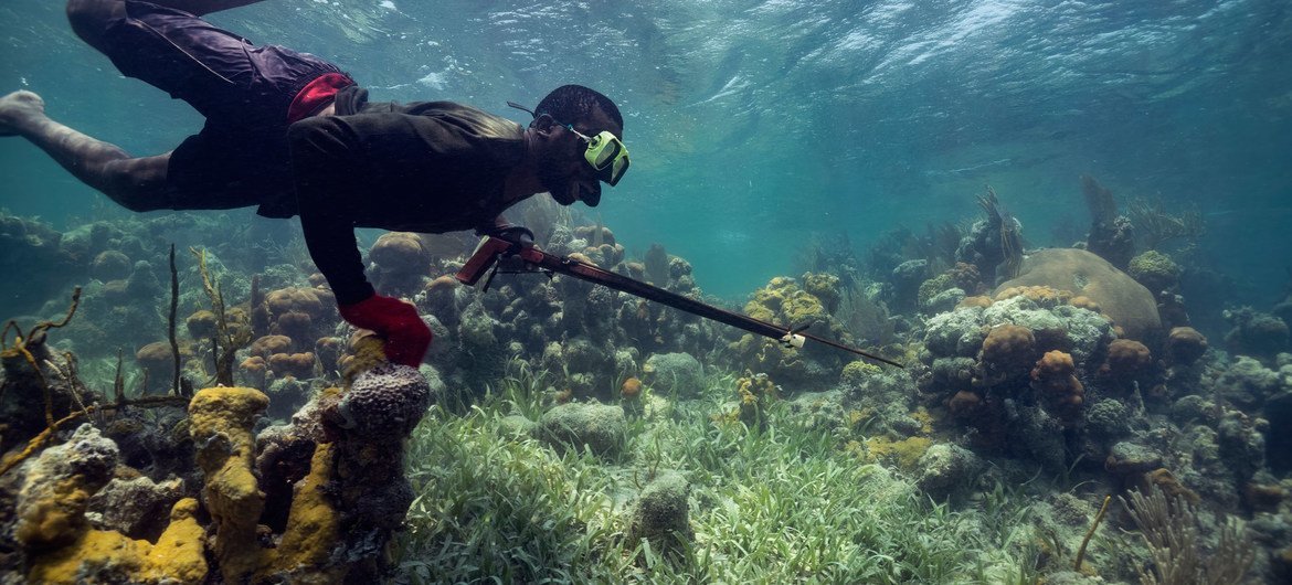 يمكن أن تدعم الشعاب المرجانية الوظائف المحلية بما في ذلك صيد الأسماك.